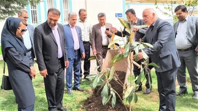 غرس ۱۲۰ اصله نهال به یاد شهدای صنعت آب و برق در آبفای كهگیلویه و بویراحمد